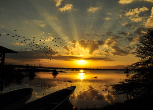7 Days Birdwatching Adventure Trips