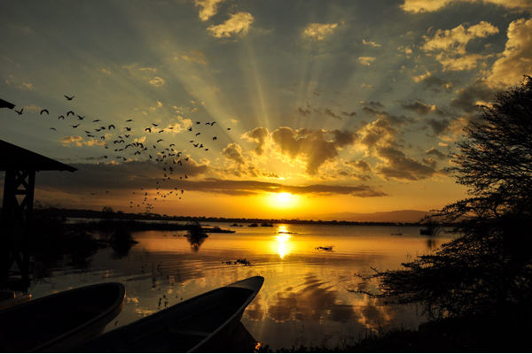 7 Days Birdwatching Adventure Trips