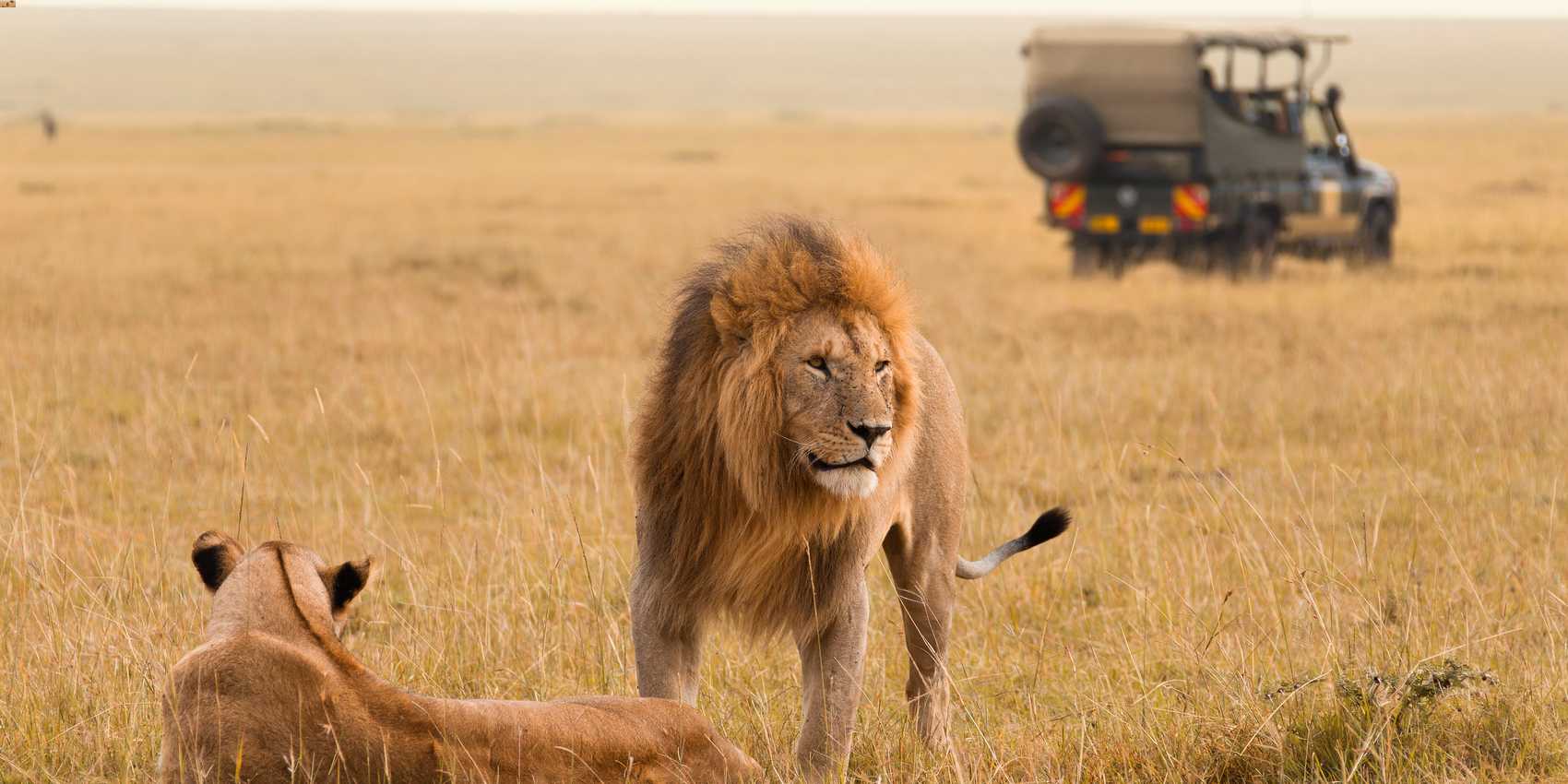 3 Days / 2 Nights Kenya Safari Nairobi -Maasai Mara